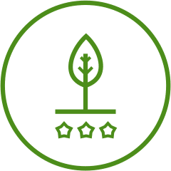 Bio certified olive oil